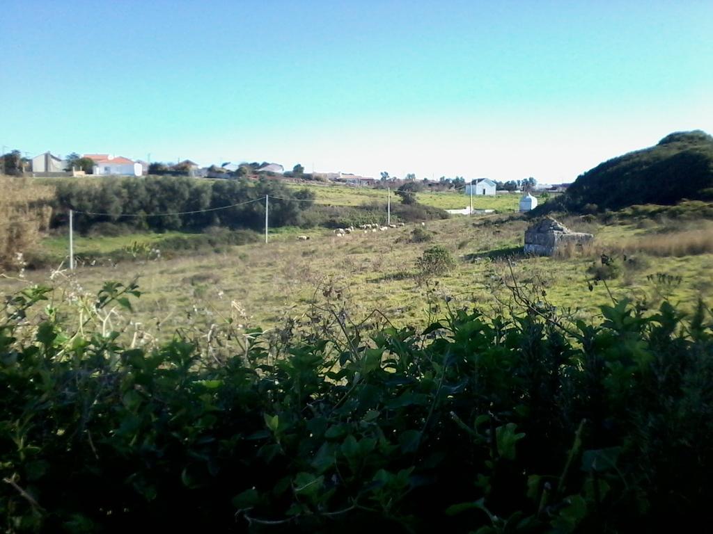 Cozy Country House Near Beaches Azoia  외부 사진