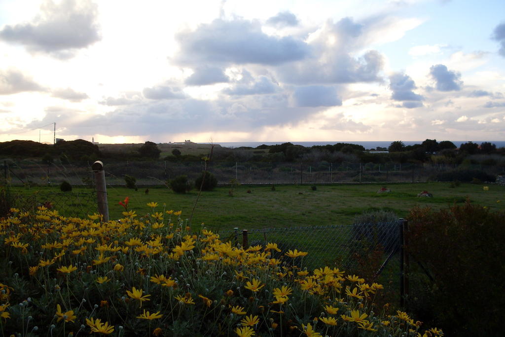 Cozy Country House Near Beaches Azoia  외부 사진